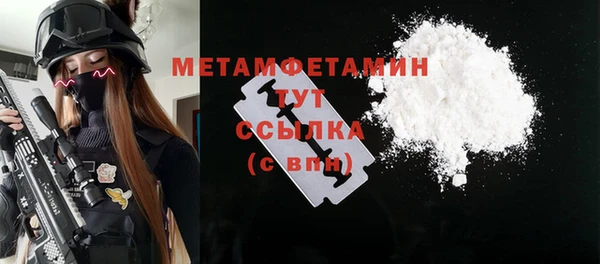 крисы Мегион