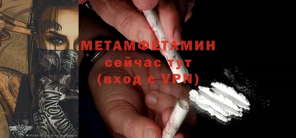 крисы Мегион