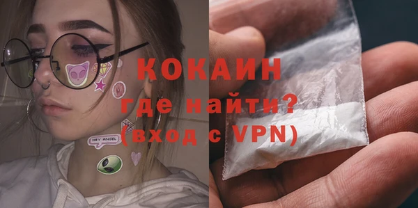 крисы Мегион