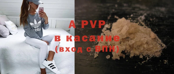 крисы Мегион
