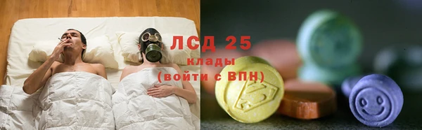 крисы Мегион