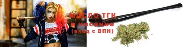 крисы Мегион