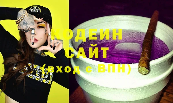 крисы Мегион