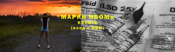 крисы Мегион